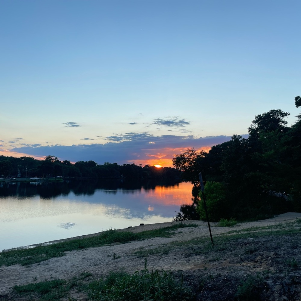 Meet your Posher, Ava